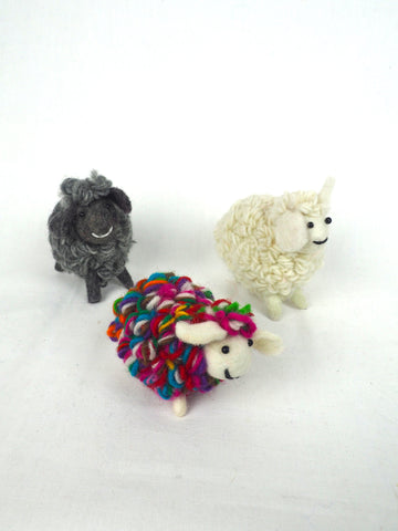 Curly Sheep